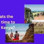 Best time to visit Kenya for safari 2024