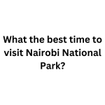 The best time to visit Nairobi National Park in 2024